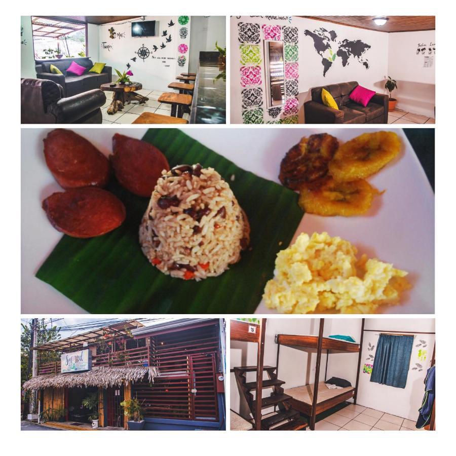 Passifloras Hostel Quepos Extérieur photo